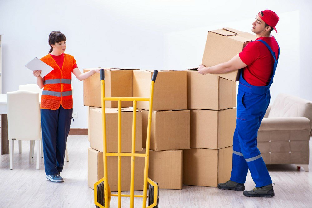 Unlocking Opportunities with Free HACCP Courses in Irelan - HACCP Training Ireland