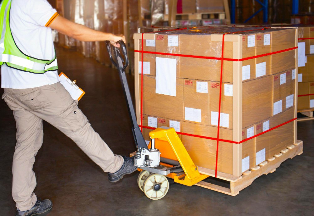 Discovering the Essentials: HACCP Training Online for a S - HACCP Training Ireland