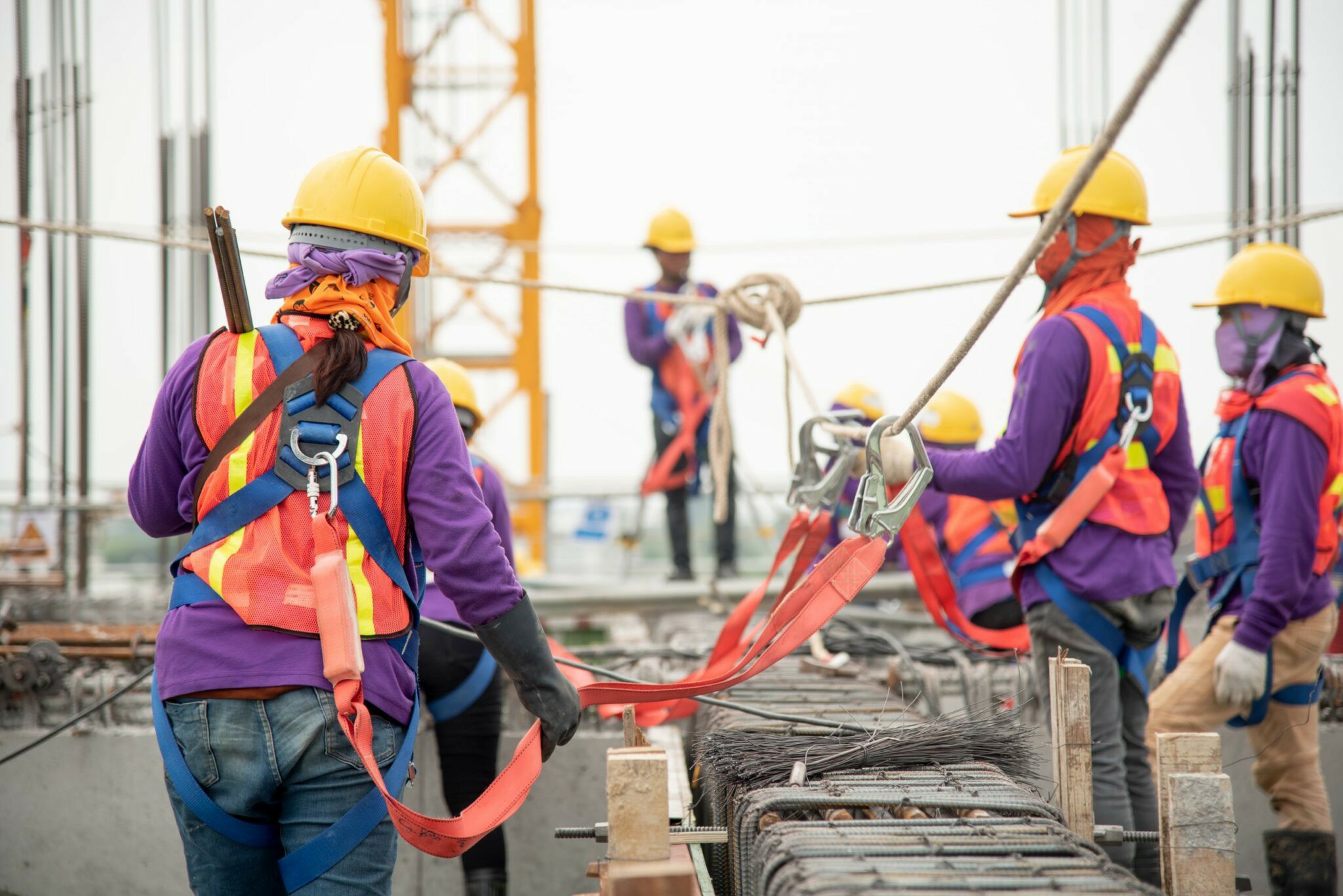 Essential Safety Risks of HACCP and the Role of Training - HACCP Training Ireland