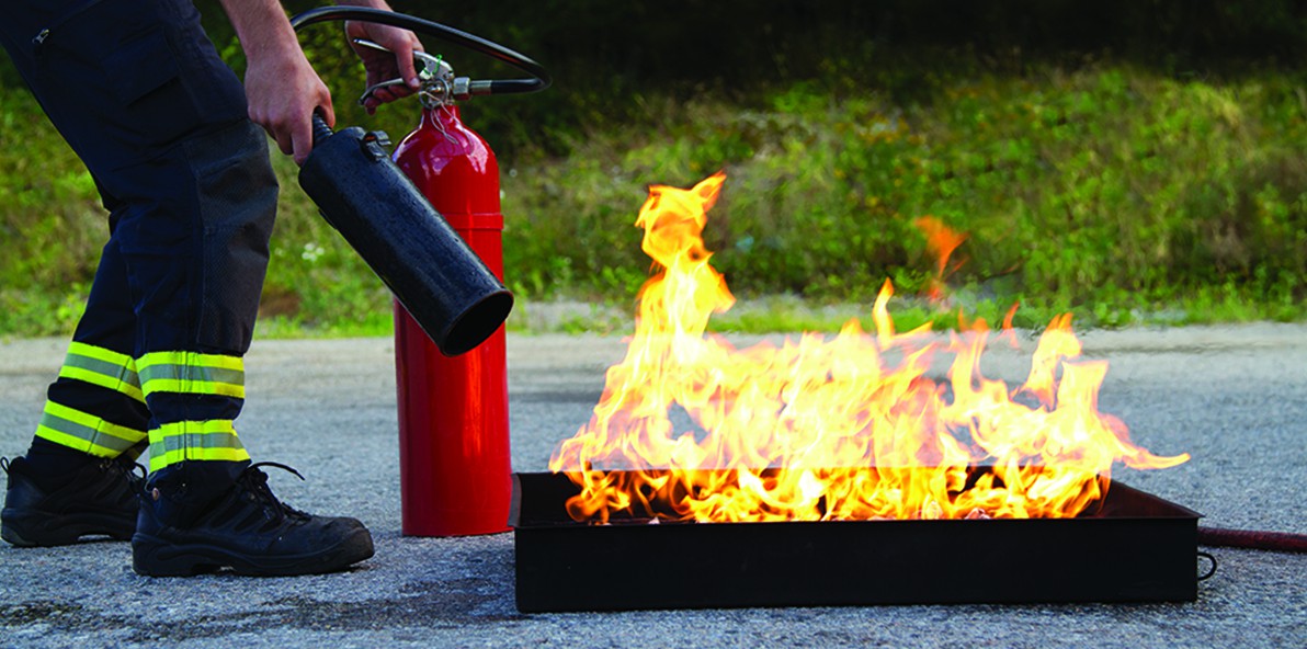 Enhancing Workplace Food Safety: Your Ultimate Guide to HACCP an - HACCP Training Ireland