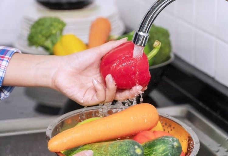 Elevate Your Food Business: The Essential Role of HACCP Training in Ir - HACCP Training Ireland