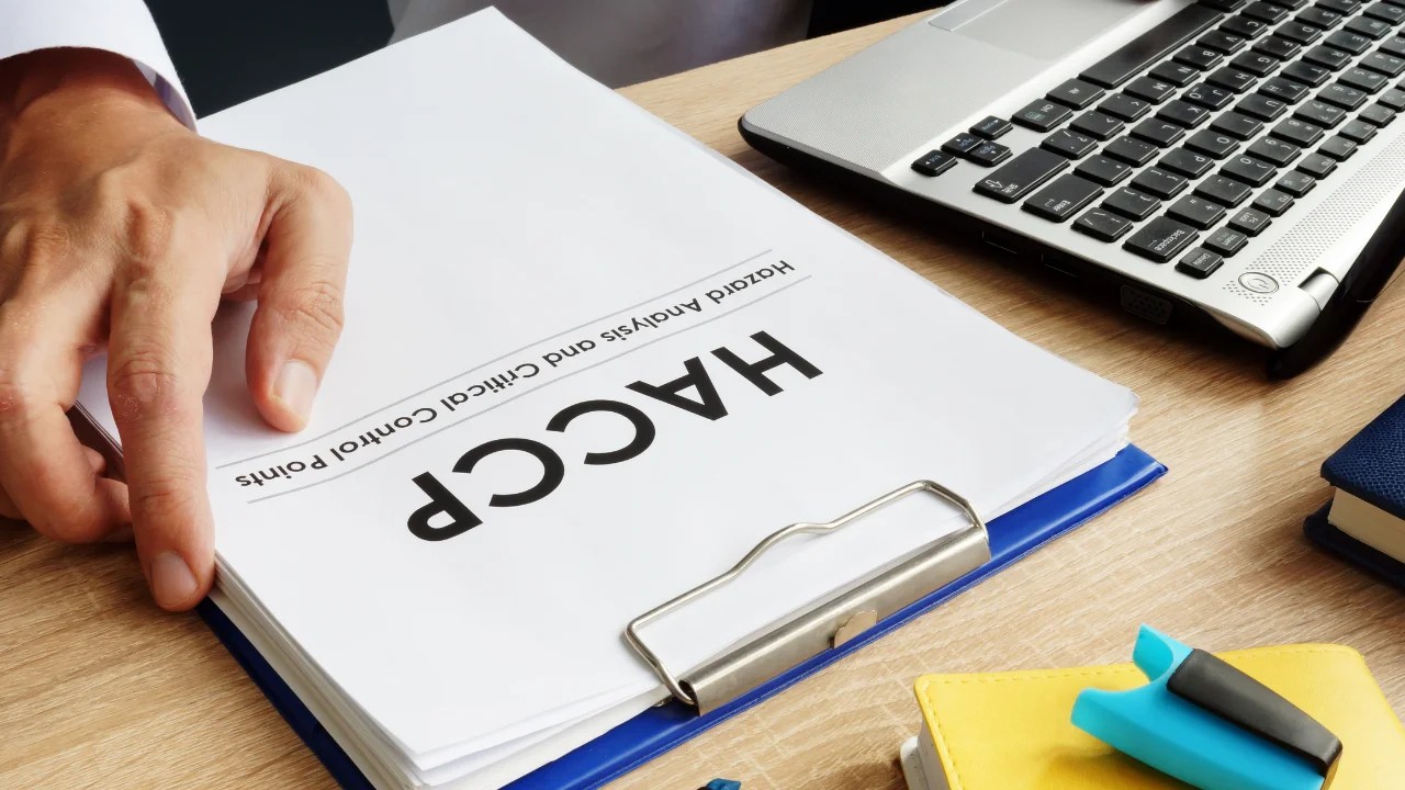 Elevate Your Food Business: The Critical Importance of HACCP Training  - HACCP Training Ireland