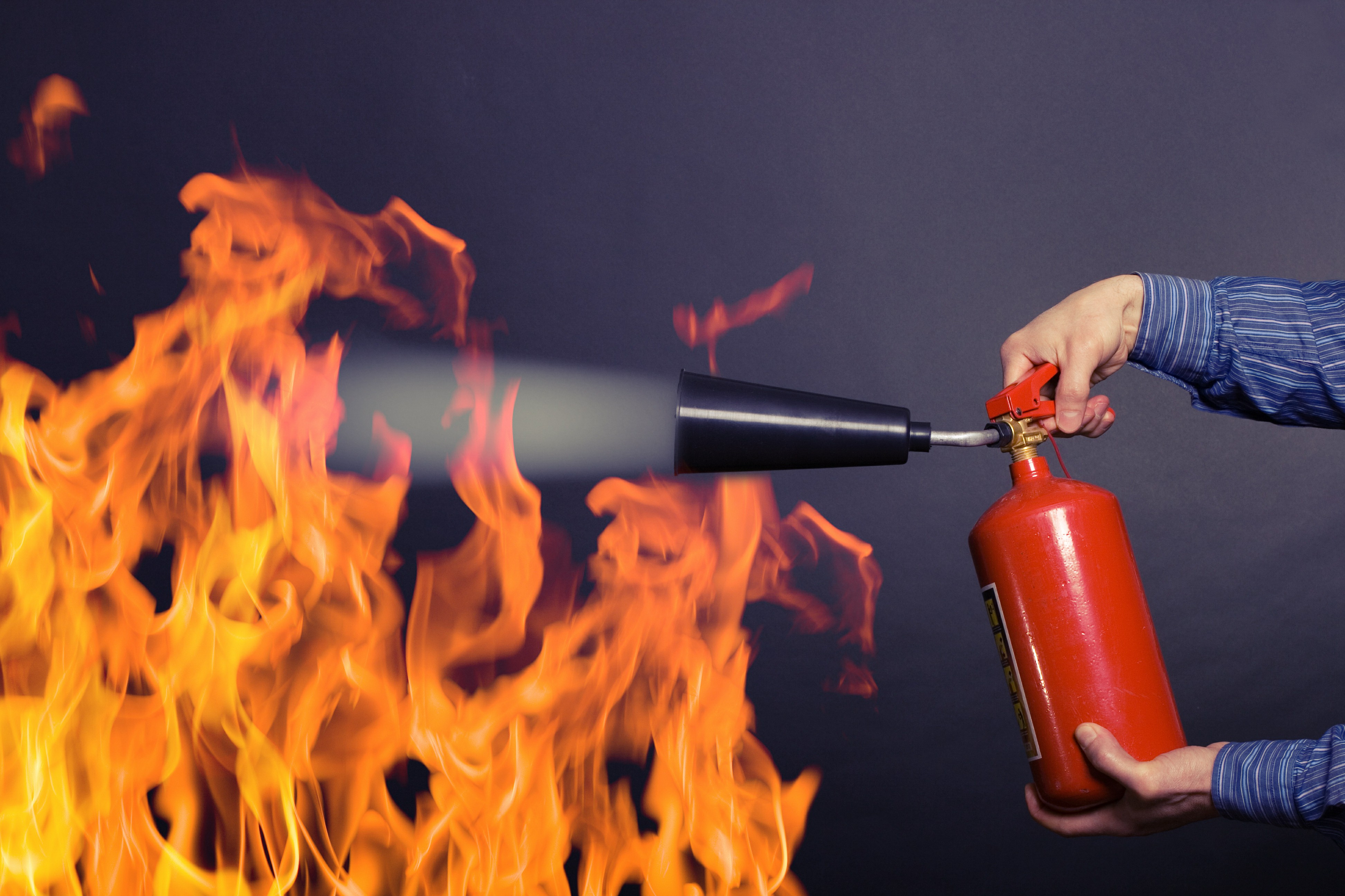 Mastering Food Safety: The Ultimate Guide to Online probe thermometer  - HACCP Training Ireland